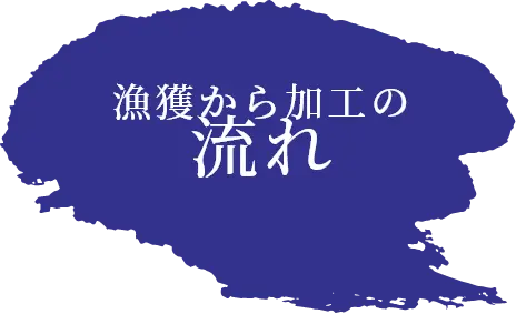 大井水産の拘り